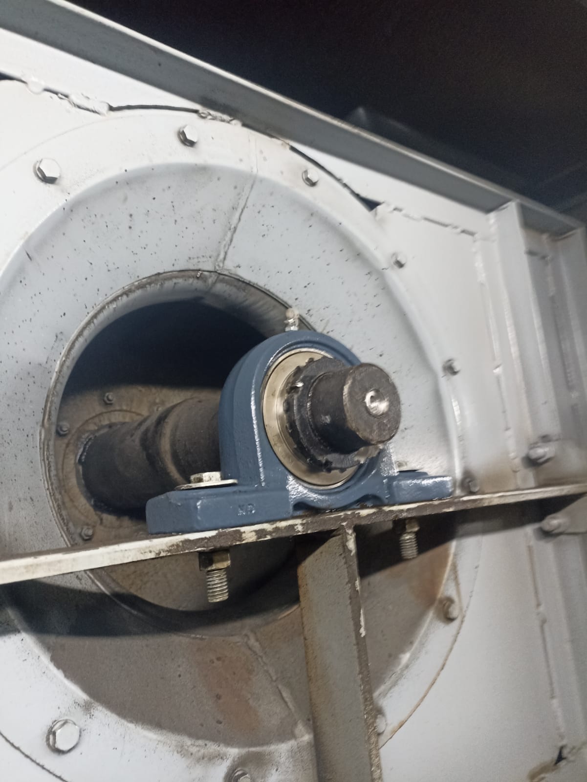 תמונת פרויקט 5